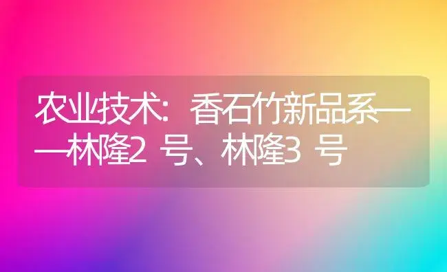农业技术:香石竹新品系――林隆2号、林隆3号 | 家庭养花