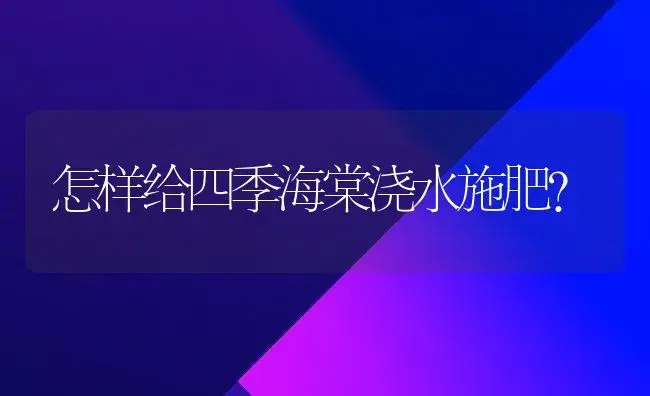 怎样给四季海棠浇水施肥？ | 绿植常识