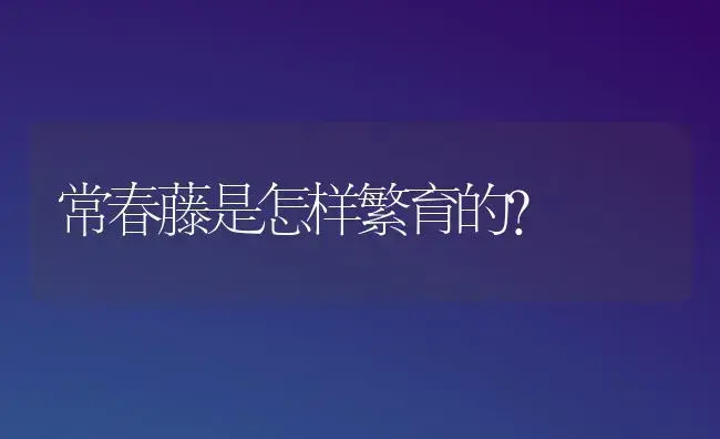 常春藤是怎样繁育的？ | 家庭养花