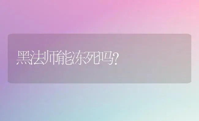 黑法师能冻死吗？ | 多肉养殖