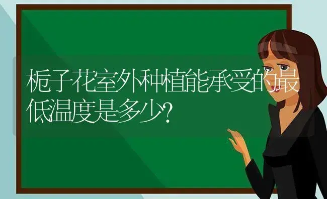 栀子花室外种植能承受的最低温度是多少？ | 绿植常识