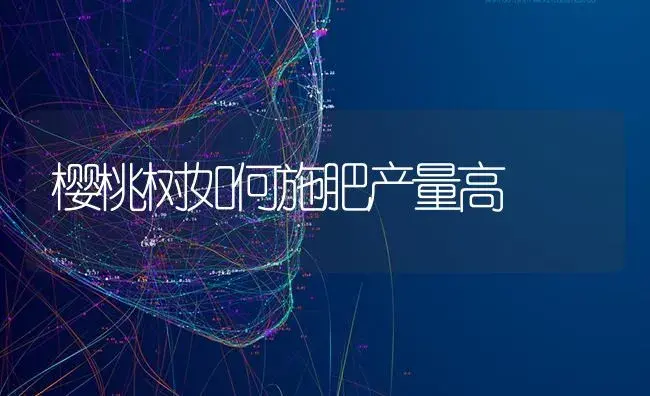 樱桃树如何施肥产量高 | 果木种植