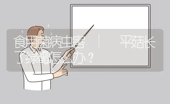 平菇长了绿霉怎么办？ | 菌菇种植