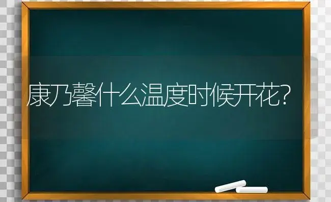 康乃馨什么温度时候开花？ | 绿植常识