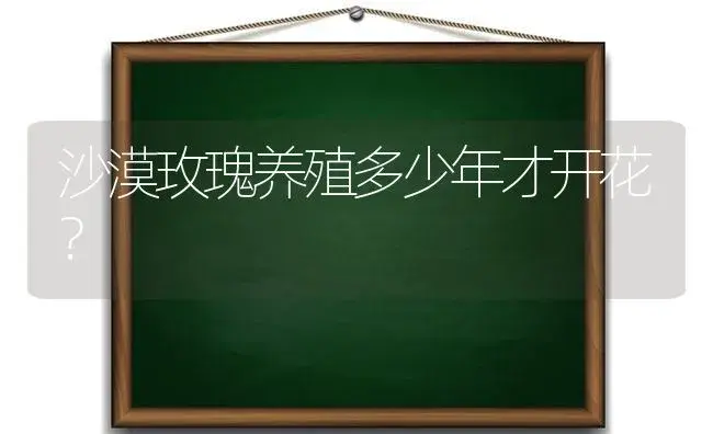 沙漠玫瑰养殖多少年才开花？ | 绿植常识