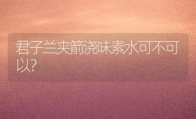 君子兰夹箭浇味素水可不可以？ | 绿植常识