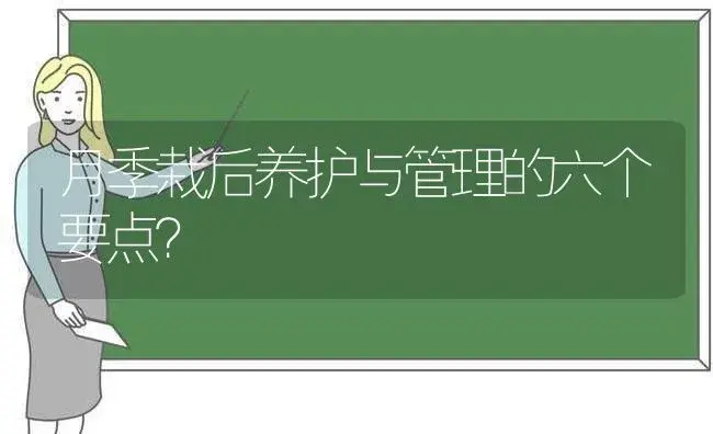 月季栽后养护与管理的六个要点？ | 绿植常识