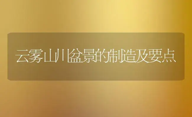 云雾山川盆景的制造及要点 | 家庭养花