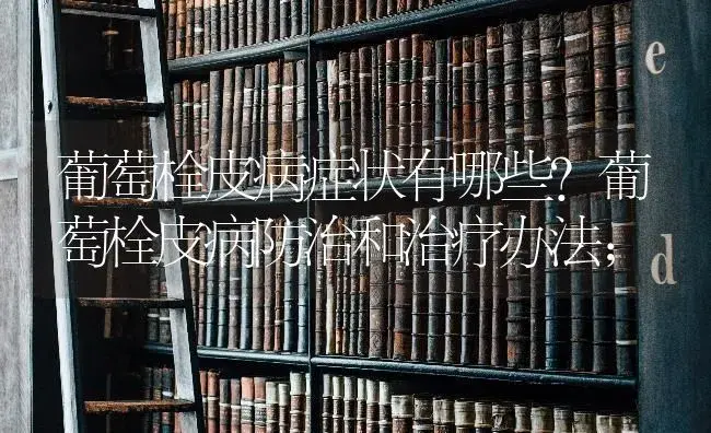 葡萄栓皮病症状有哪些？葡萄栓皮病防治和治疗办法； | 果木种植