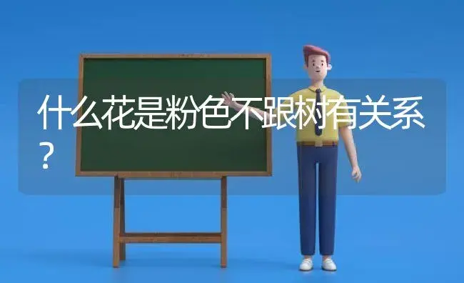 移栽的月季小苗什么时候能服盆？ | 绿植常识