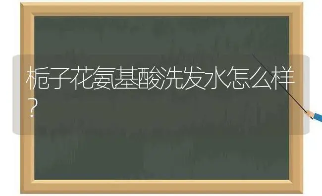 栀子花氨基酸洗发水怎么样？ | 绿植常识