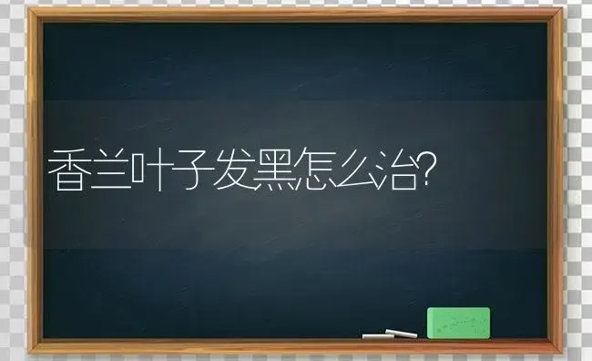 香兰叶子发黑怎么治？ | 绿植常识