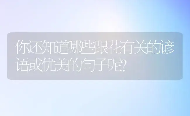 你还知道哪些跟花有关的谚语或优美的句子呢？ | 绿植常识