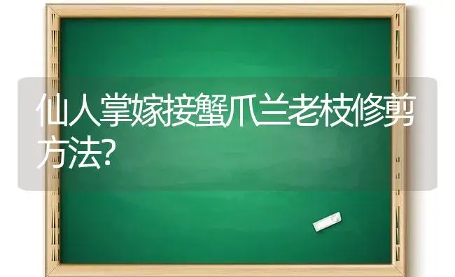 仙人掌嫁接蟹爪兰老枝修剪方法？ | 多肉养殖