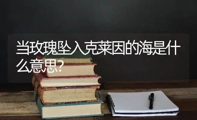 当玫瑰坠入克莱因的海是什么意思？ | 绿植常识