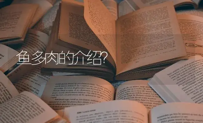 鱼多肉的介绍？ | 多肉养殖