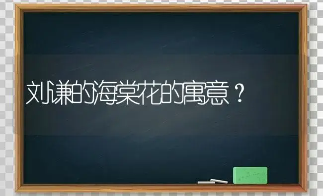 刘谦的海棠花的寓意？ | 绿植常识