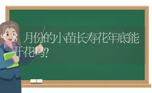 8月份的小苗长寿花年底能开花吗？ | 多肉养殖