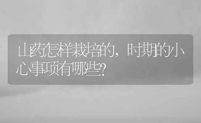 山药怎样栽培的，时期的小心事项有哪些？ | 药材种植