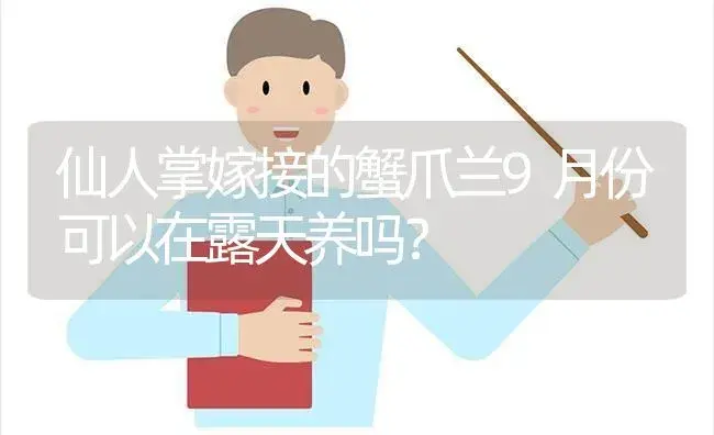 仙人掌嫁接的蟹爪兰9月份可以在露天养吗？ | 多肉养殖