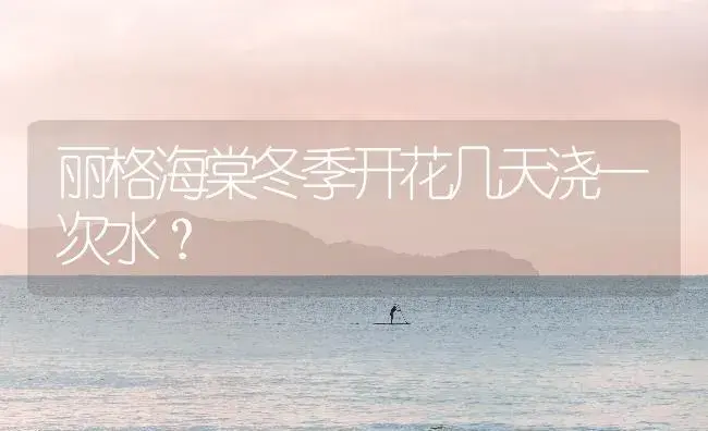 丽格海棠冬季开花几天浇一次水？ | 绿植常识