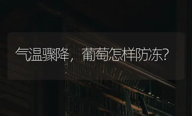 气温骤降，葡萄怎样防冻？ | 果木种植