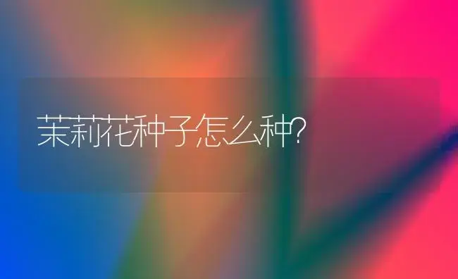 茉莉花种子怎么种？ | 绿植常识