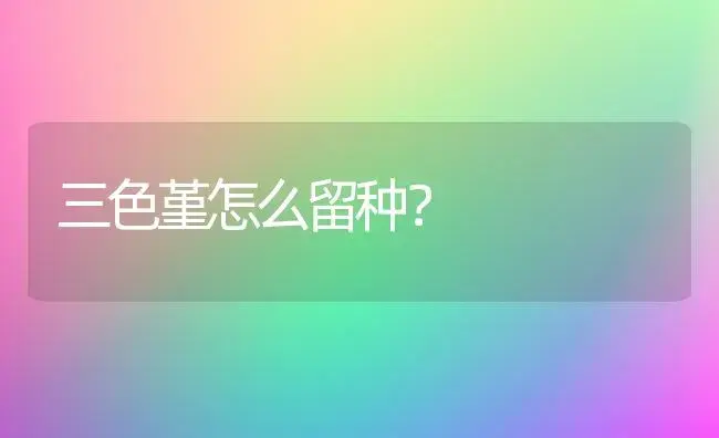 三色堇怎么留种？ | 绿植常识