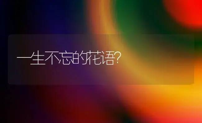 一生不忘的花语？ | 绿植常识