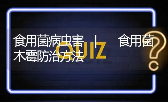 食用菌木霉防治方法 | 菌菇种植