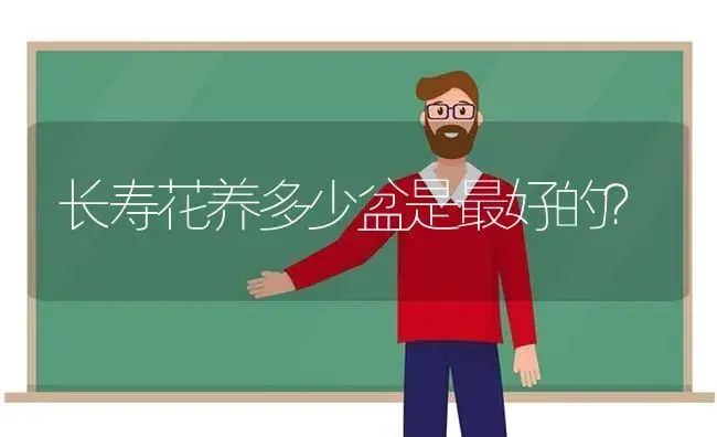 长寿花养多少盆是最好的？ | 多肉养殖