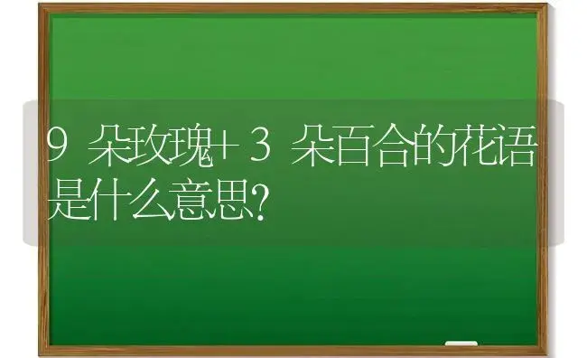 9朵玫瑰+3朵百合的花语是什么意思？ | 绿植常识