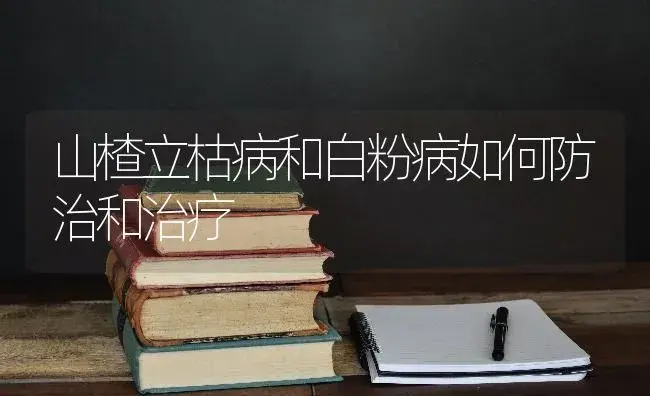 山楂立枯病和白粉病如何防治和治疗 | 果木种植