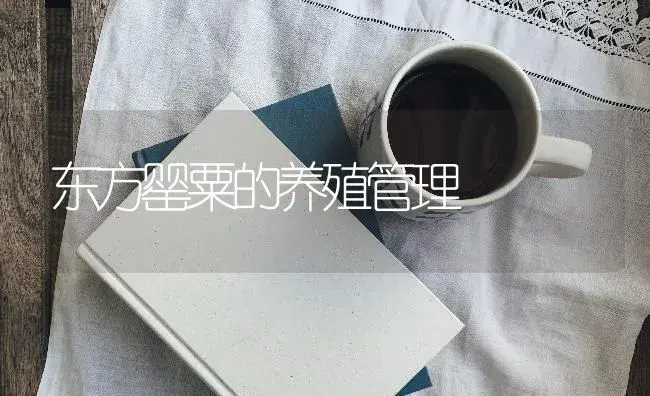 东方罂粟的养殖管理 | 特种种植