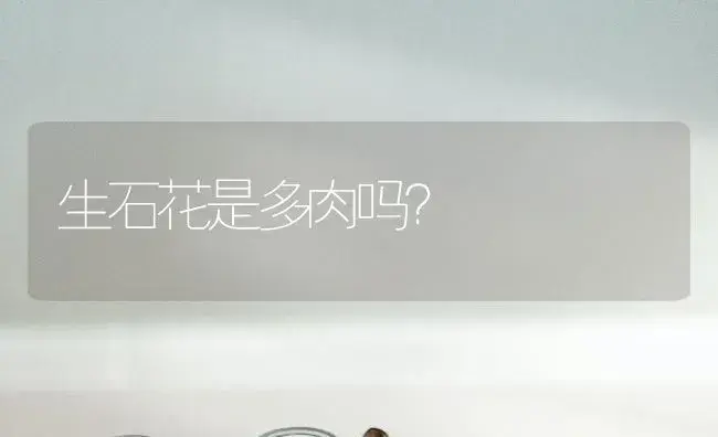 生石花是多肉吗？ | 多肉养殖