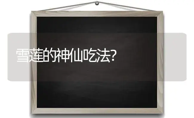 雪莲的神仙吃法？ | 多肉养殖