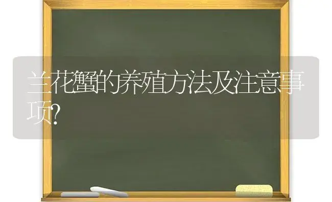 兰花蟹的养殖方法及注意事项？ | 多肉养殖