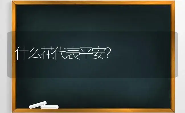 什么花代表平安？ | 多肉养殖