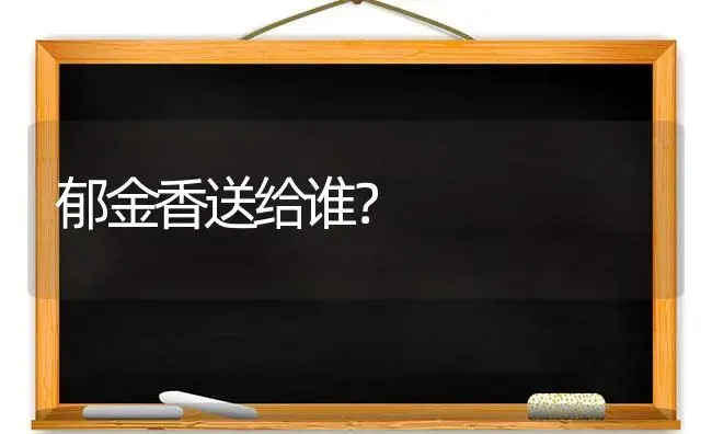 郁金香送给谁？ | 绿植常识