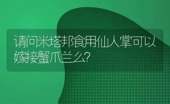 请问米塔邦食用仙人掌可以嫁接蟹爪兰么？ | 多肉养殖