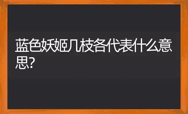 蓝色妖姬几枝各代表什么意思？ | 绿植常识