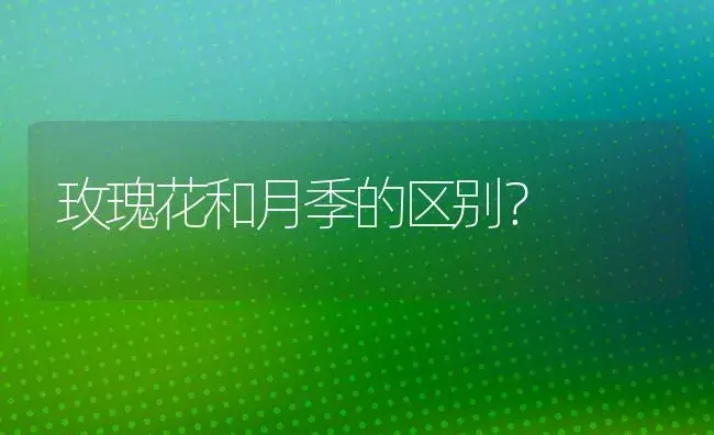 牡丹栀子一年开几次花？ | 绿植常识