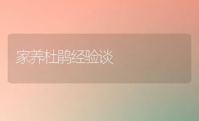 家养杜鹃经验谈 | 家庭养花