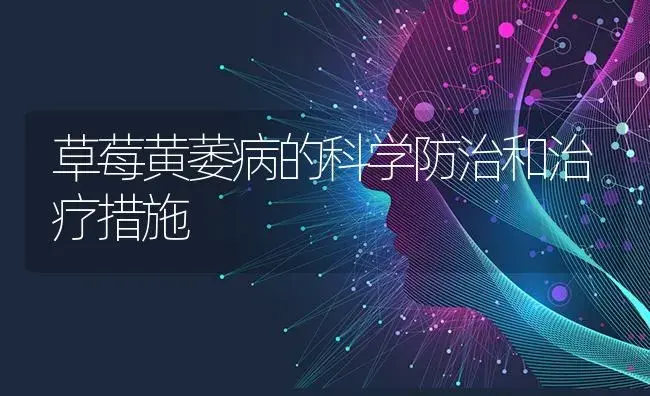 草莓黄萎病的科学防治和治疗措施 | 果木种植