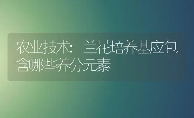 农业技术:兰花培养基应包含哪些养分元素 | 家庭养花