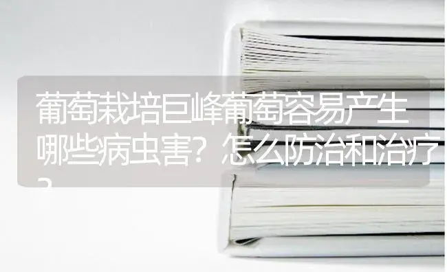 葡萄栽培巨峰葡萄容易产生哪些病虫害？怎么防治和治疗？ | 果木种植