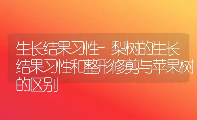 生长结果习性-梨树的生长结果习性和整形修剪与苹果树的区别 | 果木种植