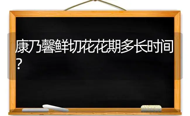 康乃馨鲜切花花期多长时间？ | 绿植常识