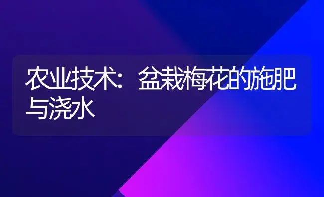 农业技术:盆栽梅花的施肥与浇水 | 家庭养花