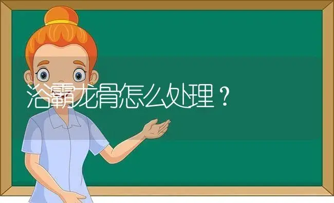 浴霸龙骨怎么处理？ | 多肉养殖